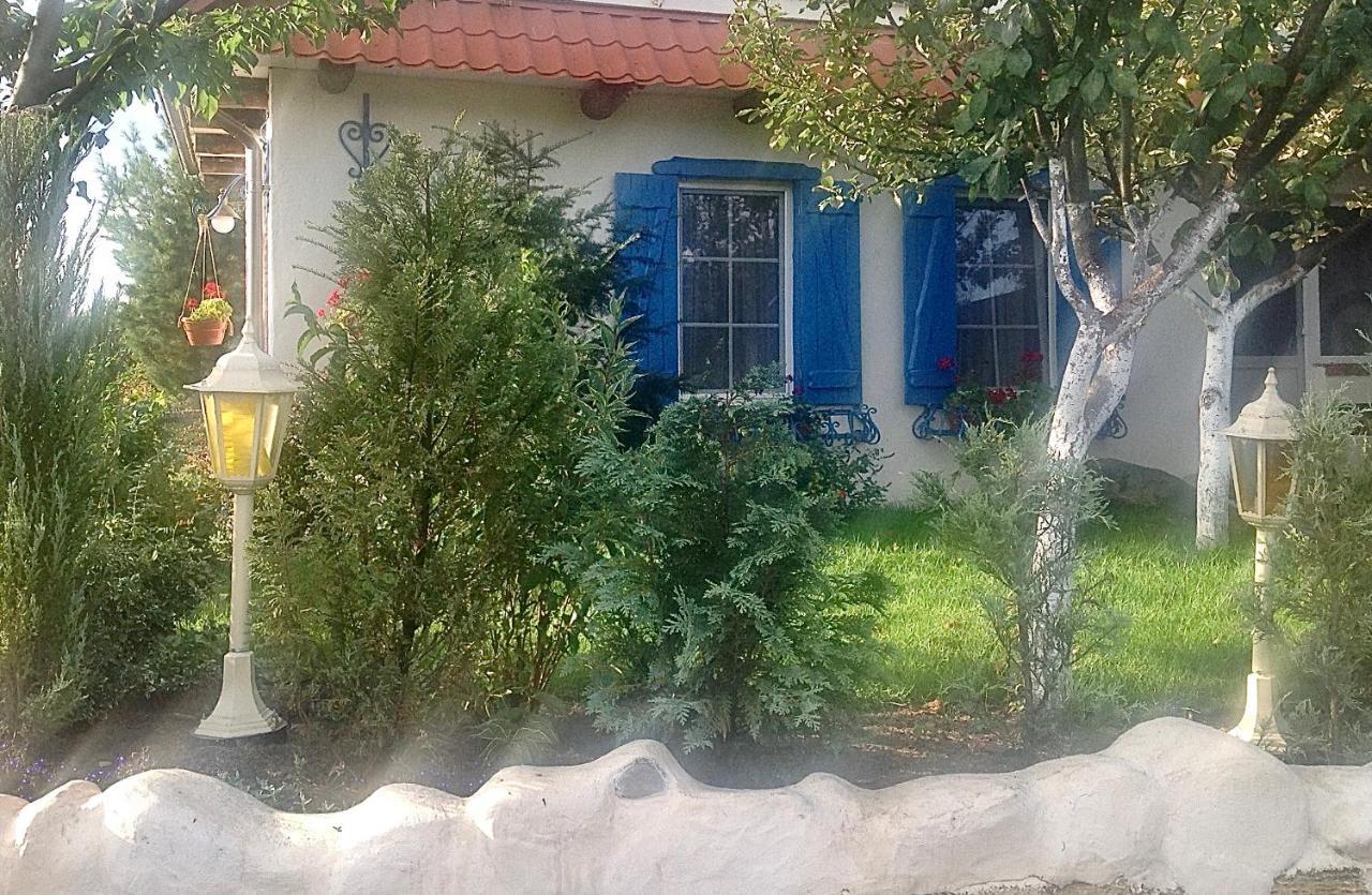 Flower Street Svityaz' Exterior photo